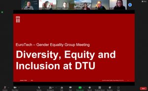 DTU presentation from Gender Equality & Diversity kick-off meeting