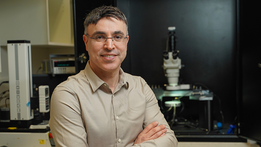 Hossam Haick, Technion