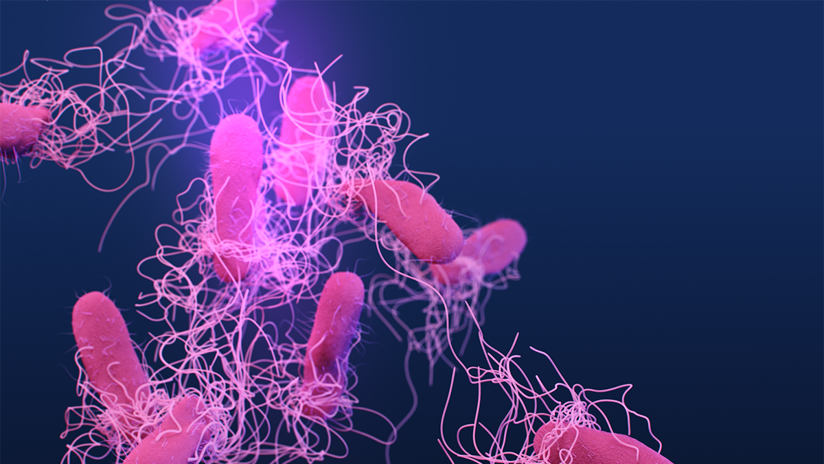 A medical illustration of drug-resistant, Salmonella serotype Typhi bacteria, presented in the Centers for Disease Control and Prevention (CDC) publication entitled, Antibiotic Resistance Threats in the United States, 2019 (AR Threats Report). Photo credit: Medical Illustrator: James Archer