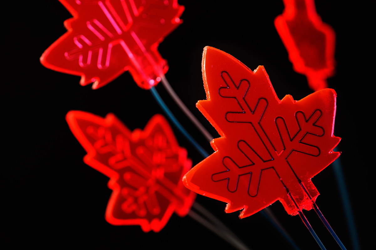 Luminescent Solar Concentrator-based Photomicroreactor (LSC-PM, artificial leaf for organic synthesis), research by PhD Dario Cambie & Timothy Noël, group Micro Flow Chemistry and Process Technology, Chemical Engineering and Chemistry, TU Eindhoven. Photo: TU/e, Bart van Overbeeke